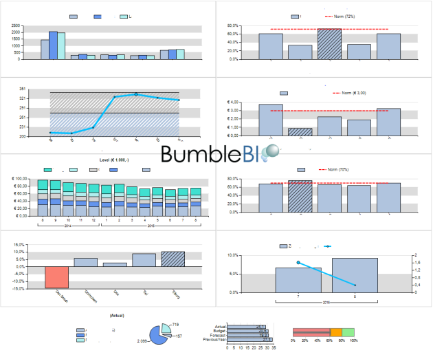 BumbleBI Dashboard - SSRS 2012 2014